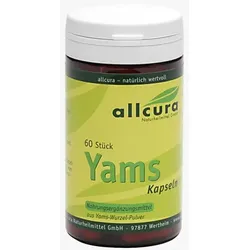 YAMS Kapseln 250 mg Yamspulver 60 St