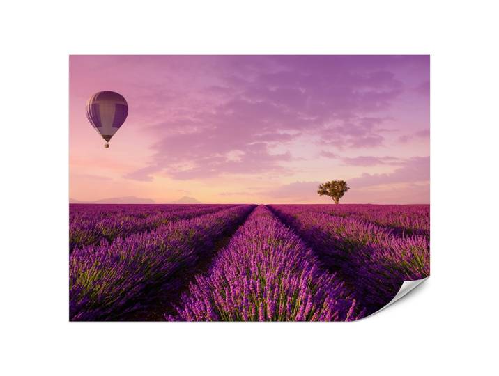 FOTOTAPETE für Wohnzimmer Lavendelfeld Heißluftballon Provence 200x140