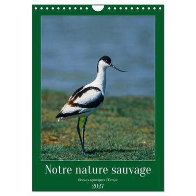 Notre nature sauvage, oiseaux aquatiques d'Europe (Calendrier mural 2027 DIN A4 horizontal), CALVENDO calendrier mensuel