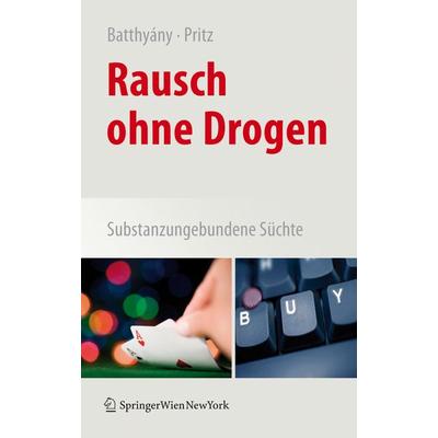 Rausch ohne Drogen, Gebundene Ausgabe von Dominik Batthyany,Alfred Pritz, Springer Wien, 978-3-211-88569-7