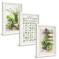 BILDER SET 3er Set - 20x30 cm Weißer Rahmen - Getrocknete Kräuter für die Küche