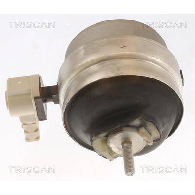TRISCAN Lagerung, Motor 850529111 für Audi