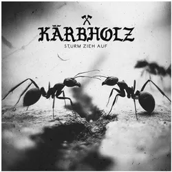 Metalville, Schallplatten, Sturm zieh auf (Limited Natural Black Marbled Vinyl) (Kõrbholz)