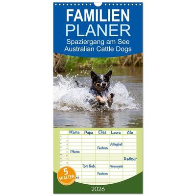 Familienplaner 2026 - Spaziergang am See Australian Cattle Dogs mit 5 Spalten (Wandkalender, 21 x 45 cm) CALVENDO
