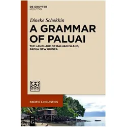 A Grammar of Paluai, Fachbücher von Dineke Schokkin