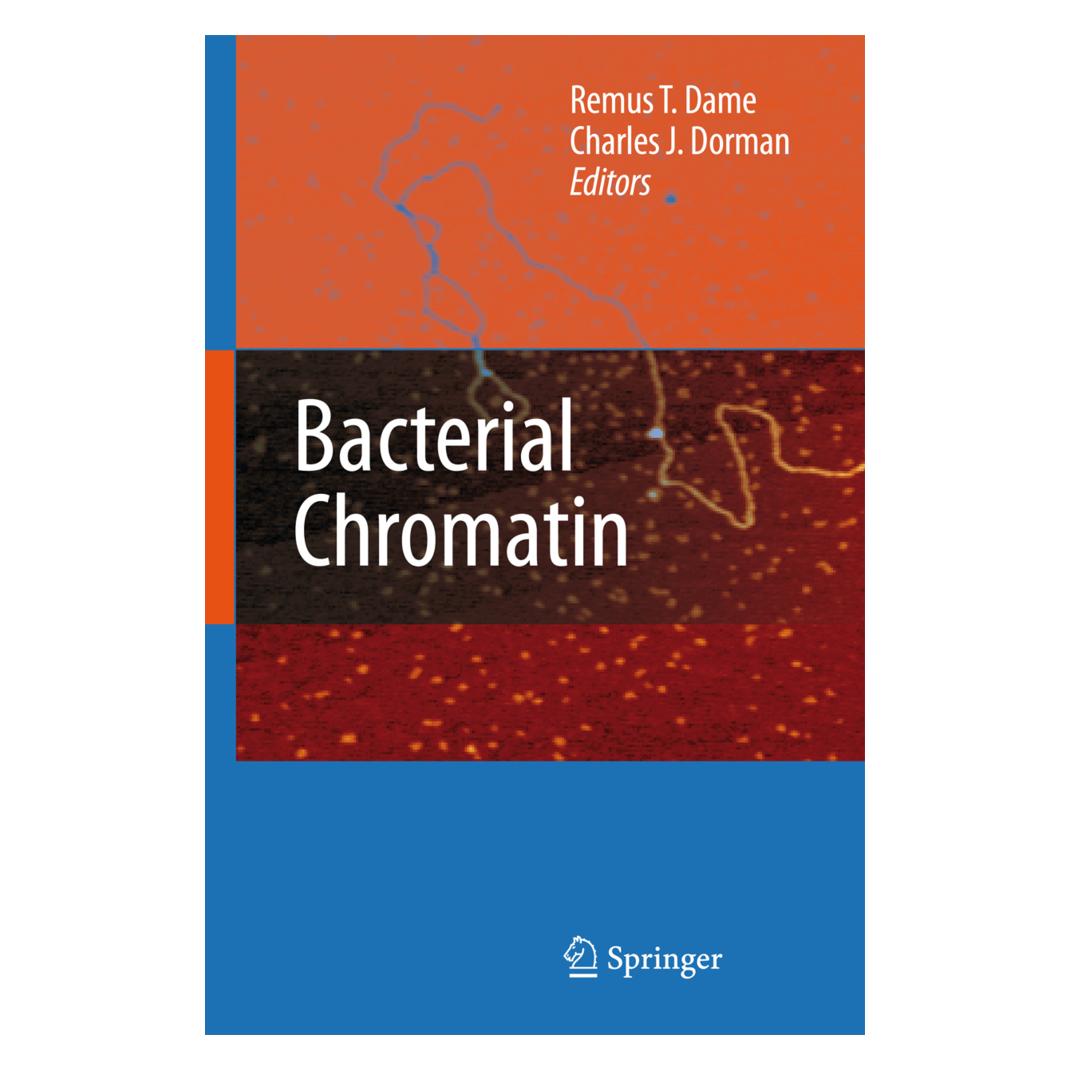 Springer Bacterial Chromatin (Englisch, Softcover, Charles J. Dorman, Remus T. Dame) (55573993)