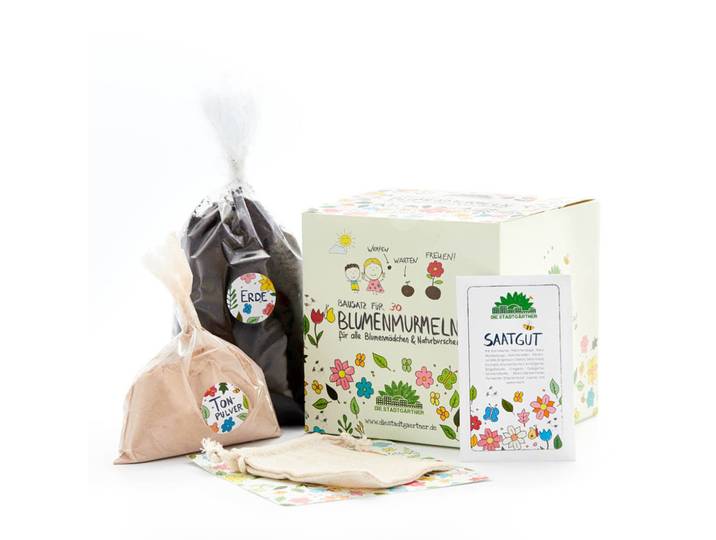 Samenbomben Kit mit Saatgut, Gartenerde und Lehmpulver, 30 Blumenmurmeln zum Selbermachen