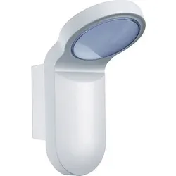 ESYLUX LED-Strahler OL 100 LED 5000K weiß, 10W