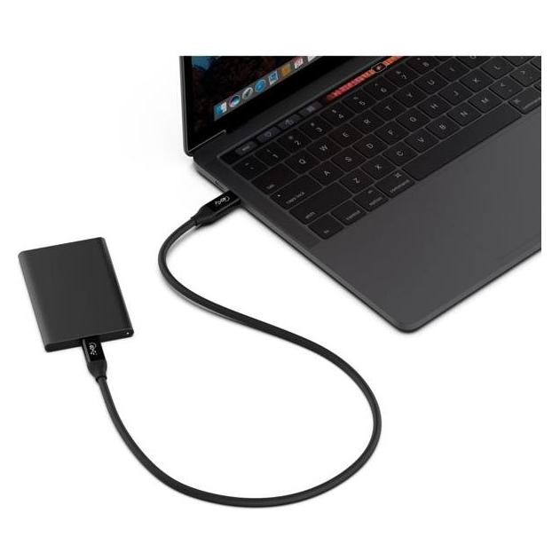 Belkin USB C - USB C (0.80 m, USB 4, 100 W) (INZ001bt0.8MBK)