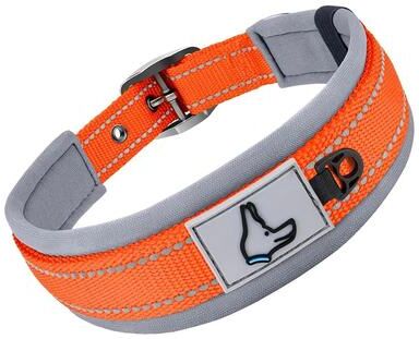 Uplift Treasures Reflective Padded Adjustable Dog Collar orange l