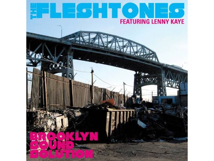 Fleshtones - Brooklyn Sound Solution