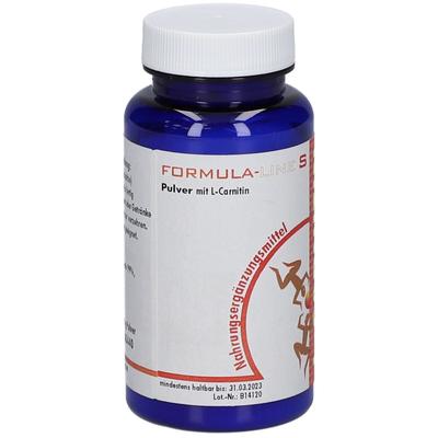 L-Carnitin Pulver 100 g