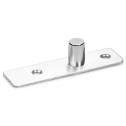 Objekttür-Drehlager, Glass Fitting PT 24, für Eckbeschläge, edelstahl poliert