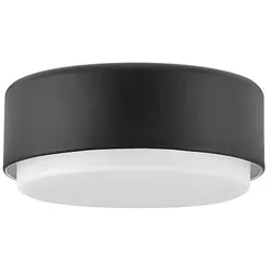 Hinkley Cedric Deckenleuchte Schwarz HK-CEDRIC-F-S-BK