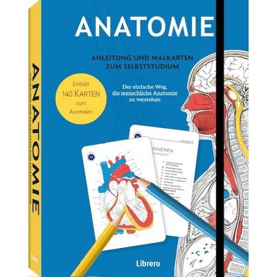 Anatomie – Anleitung und Malkarten zum Selbststudium, Taschenbuch von Gary Sacks, Librero, 978-94-6499-048-5
