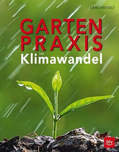 Lars Weigelt - Gartenpraxis im Klimawandel - Preis vom 19.10.2026 19:33:35 h