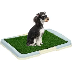 PawHut Welpentoilette Hundetoilette Welpenklo Kunstgras Hunde WC Blau 63x48,5cm