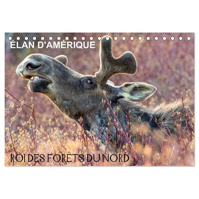 ÉLAN D'AMÉRIQUE - ROI DES FORÊTS DU NORD (Calendrier de bureau 2026 DIN A5 vertical), CALVENDO calendrier mensuel