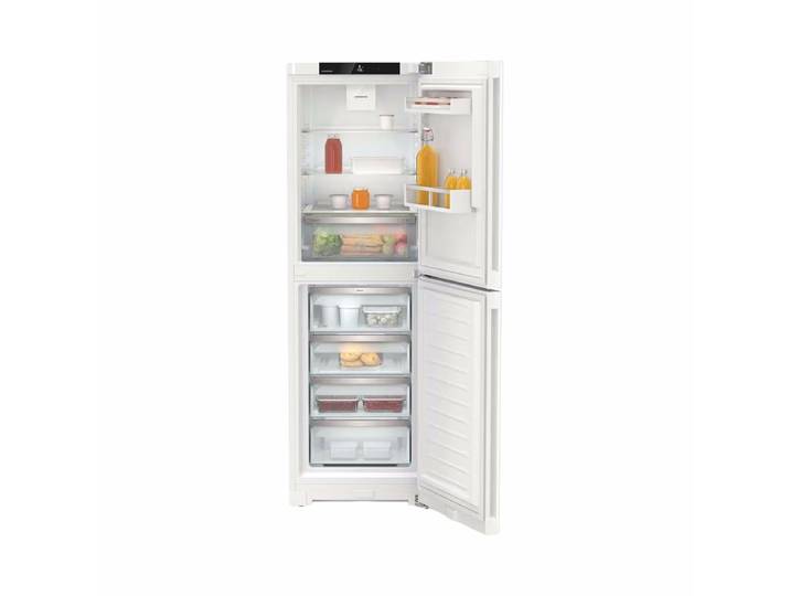 Liebherr CNd 5204 Pure Kühlschrank mit Gefrierfach freistehend – weiss