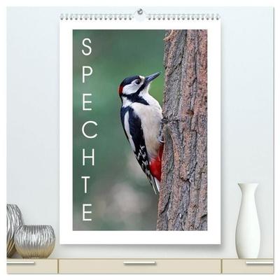 Spechte (hochwertiger Premium Wandkalender 2027 DIN A2 hoch), Kunstdruck in Hochglanz