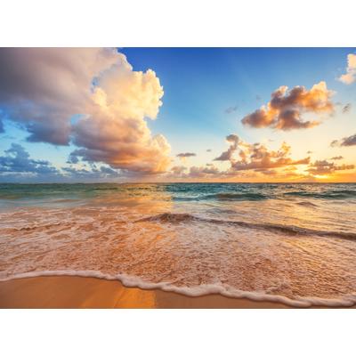 Fototapete PAPERMOON "Caribbean Beach", bunt, B:2,5m L:1,86m, Vlies, Tapeten