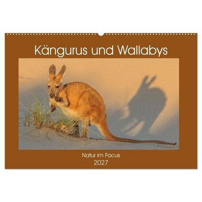 Kängururs und Wallabys (Wandkalender 2027 DIN A2 quer), CALVENDO Monatskalender
