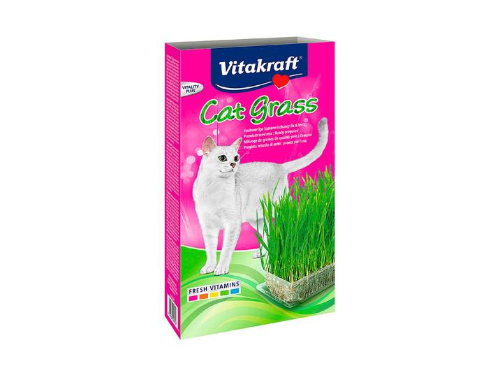 Vitakraft Katzengras
