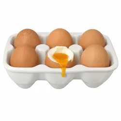 Creme Eierkarton aus Porzellan für 6 Eier Frühstück Mini-Muffins Eierschale