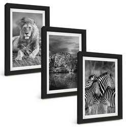 BILDER SET 3er Set - 20x30 cm Schwarzer Rahmen - Wildtiere der Savanne