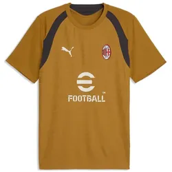 Puma, Herren, Fussballtrikot, ACM Training Jersey (S), Gold