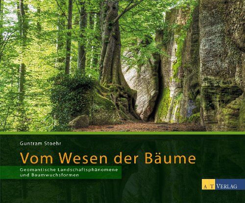 Guntram Stoehr - Vom Wesen der Bäume: Geomantische Landschaftsphänomene und Baumwuchsformen - Preis vom 15.10.2026 23:06:25 h