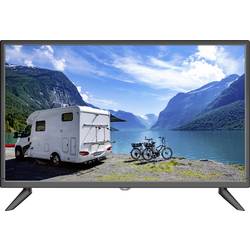 Reflexion LED2425 LCD-TV 60 cm 24 Zoll EEK E (A - G) DVB-T2, DVB-C, DVB-S2, Full HD, CI+ Schwarz