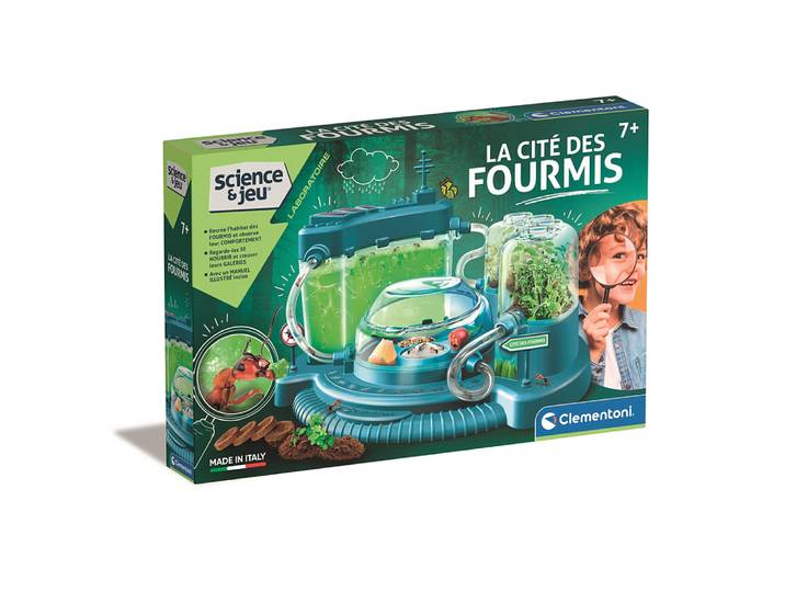 La cité des fourmis