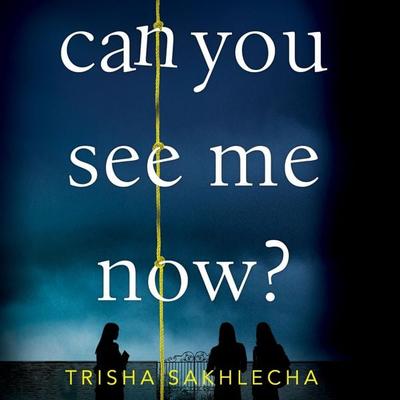 Can You See Me Now? - Trisha Sakhlecha, Audio, 9781509886364