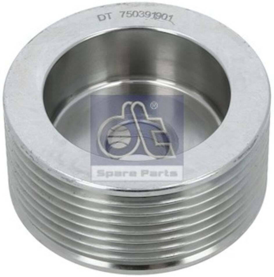 Dt Spare Parts Puleggia della cinghia, genratore 1.21342