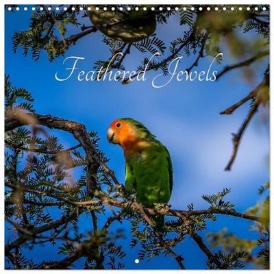 Feathered Jewels (Wall Calendar 2026 12 × 12 Inch) CALVENDO 12 Month Wall Calendar