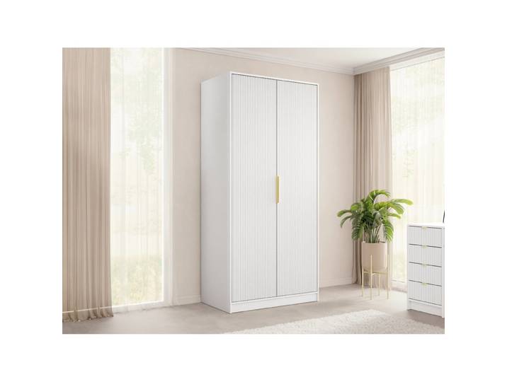 Drehtuerenschrank Razimo 2D