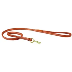 Weatherbeeta Hundeleine aus gerolltem Leder (M, Hund, Spazieren), Halsband + Leine