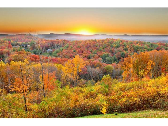 Fototapete PAPERMOON Waldlandschaft , bunt, B:1,5m L:1,11m, Vlies, Tapeten, Fototapete