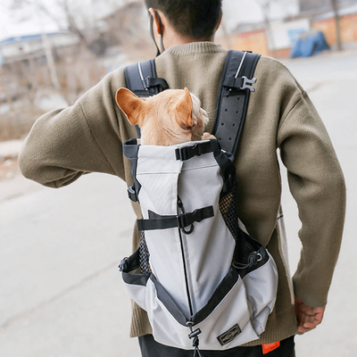 PetsAreLife Breathable Dog Backpack Gray L