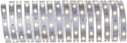 Paulmann 79855 LED-Streifen mit Stecker 24V 5m Warmweiß 5m