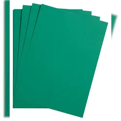 Clairefontaine Maya Fotokarton 50x70cm 270g 25 Bogen - Tannengrün 97251C