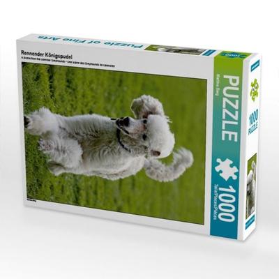 CALVENDO Puzzle Rennender Königspudel | 1000 Teile Lege-Größe 64x48cm Foto-Puzzle für glückliche Stunden