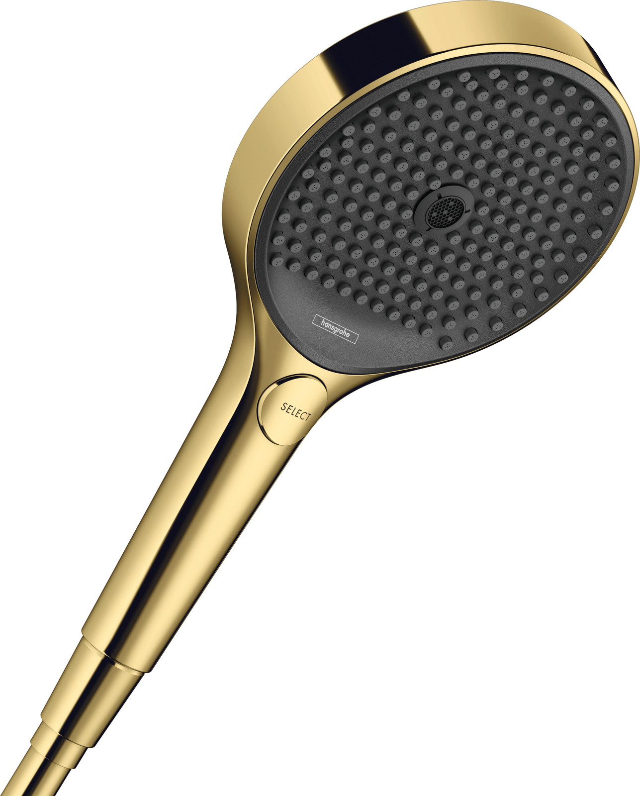 Hansgrohe RAINFINITY Handdouche - Gepolijst Goud