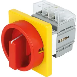 Haupt-Not-Aus-Schalter für Frontbefestigung, DK1 04/HS-F35-D-RG Elektra