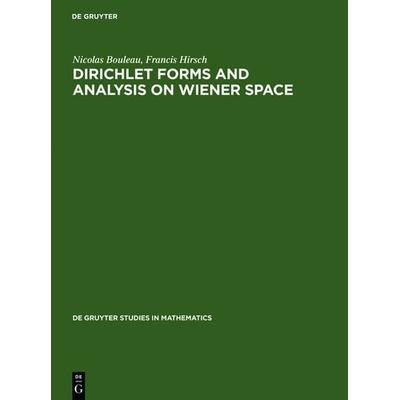 Dirichlet Forms and Analysis on Wiener Space, Gebundene Ausgabe von Nicolas Bouleau,Francis Hirsch, De Gruyter, 978-3-11-012919-9