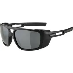 ALPINA Herren Brille ALPINA SKYWALSH, Größe ONE SIZE in Grau 31