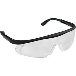 WS24 Schutzbrille in Etui - WS24-100108