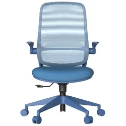 Carmen ASTARA Ergonomischer Bürostuhl mit Netzrücken – Blau
