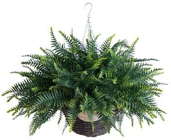 Nearly Natural 21-in UV Resistant Fern in Hanging Basket (Indoor/Outdoor) - Set of 2